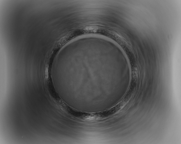 X0000095960504200802011125