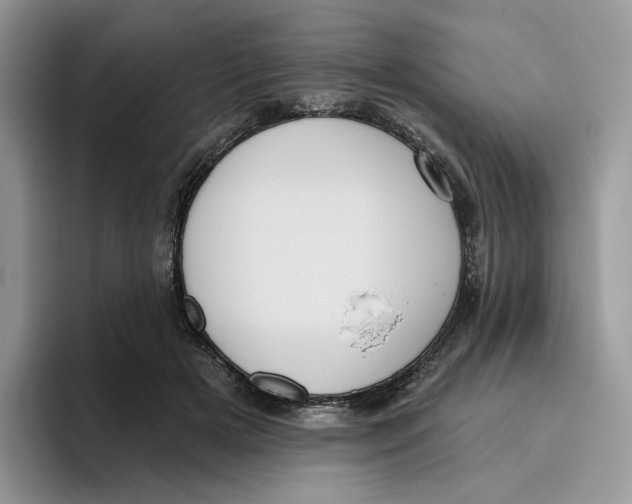 X0000095960505200802011125