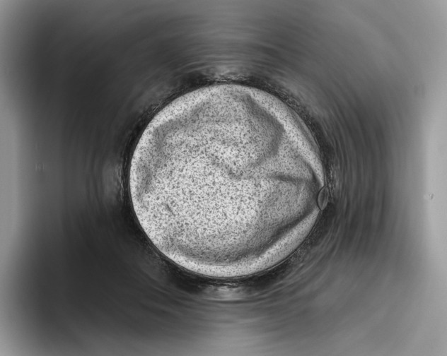 X0000095960506200802011125