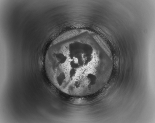 X0000095960507200802011124