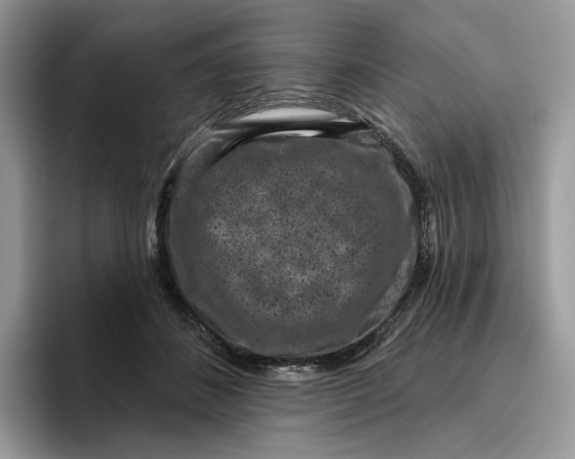 X0000095960508200802011124