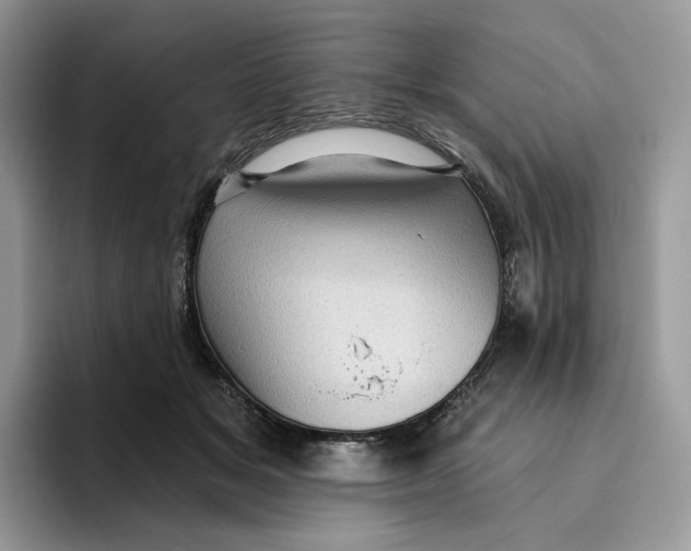 X0000095960509200802011124