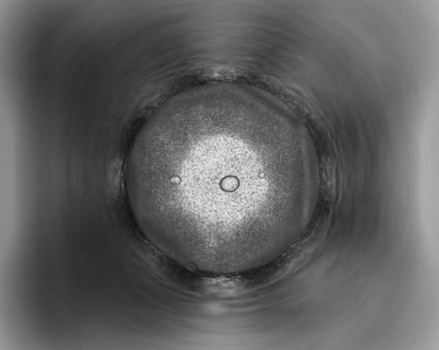 X0000095960511200802011124