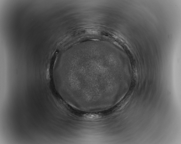 X0000095960512200802011124