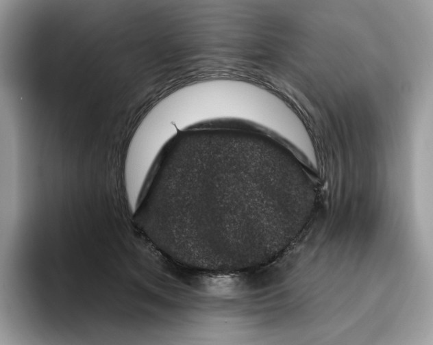 X0000095960513200802011124