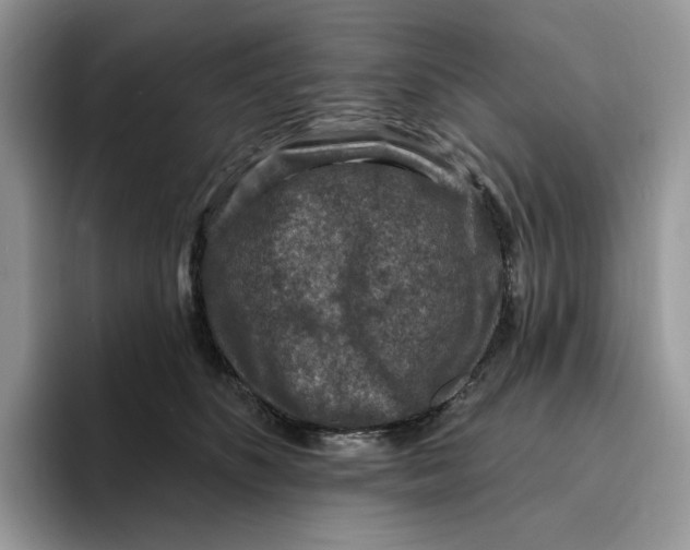 X0000095960516200802011124