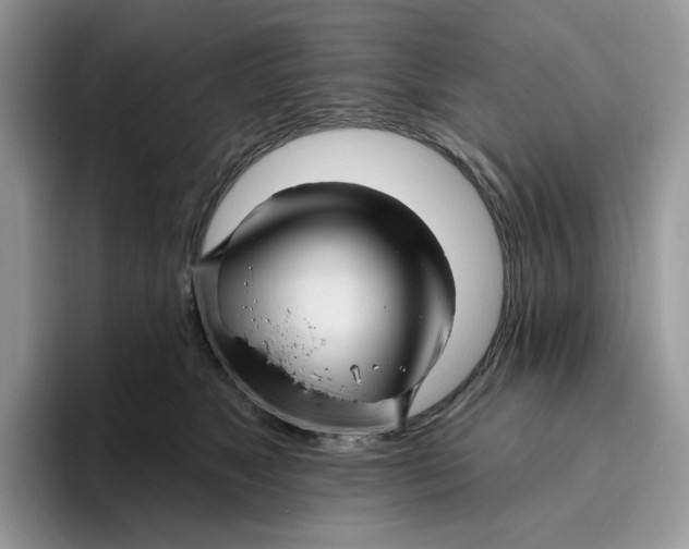 X0000095960517200802011124