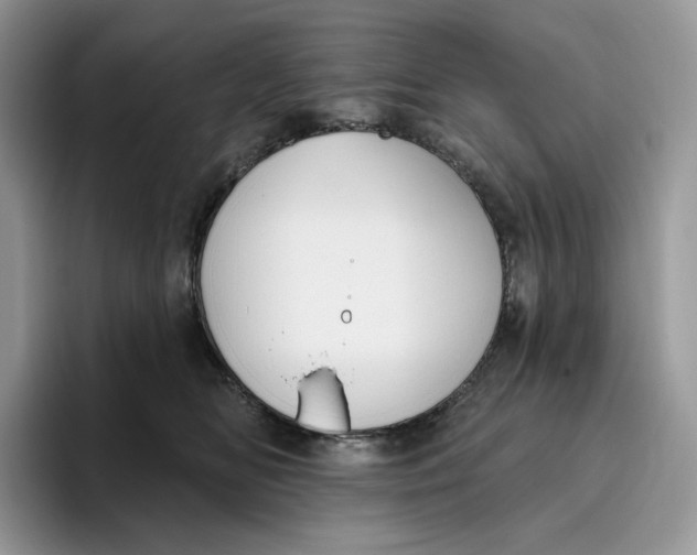 X0000095960518200802011124