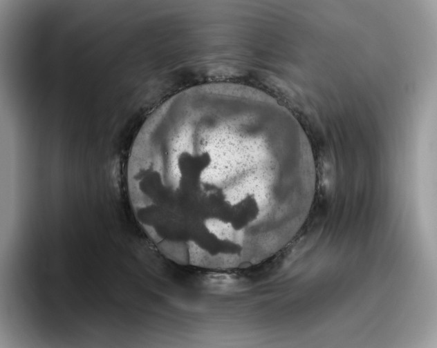 X0000095960519200802011124