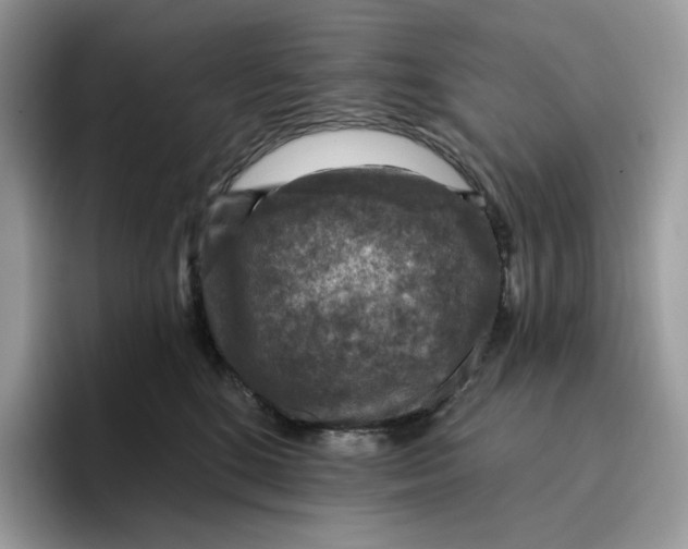 X0000095960520200802011124