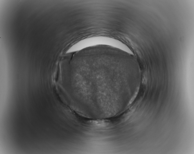 X0000095960524200802011124