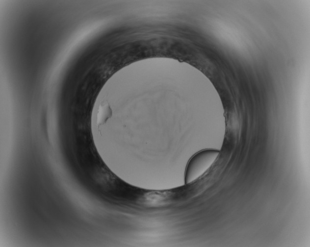 X0000095960526200802011124