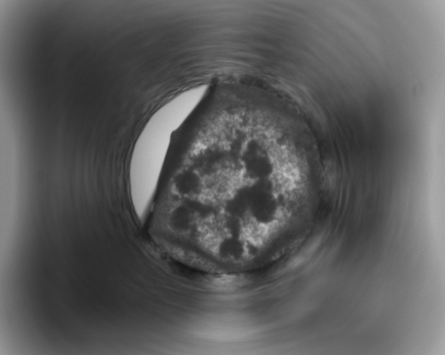 X0000095960527200802011124