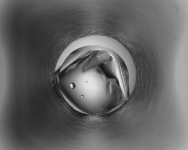 X0000095960528200802011124