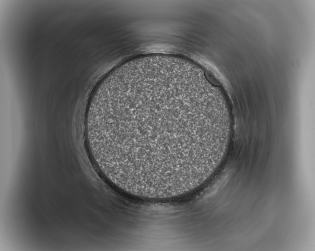 X0000095960529200802011124