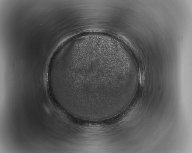 X0000095960531200802011124