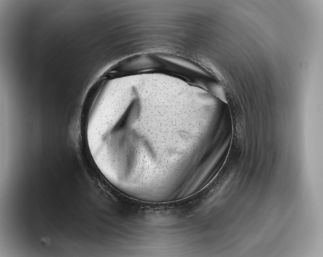 X0000095960532200802011124