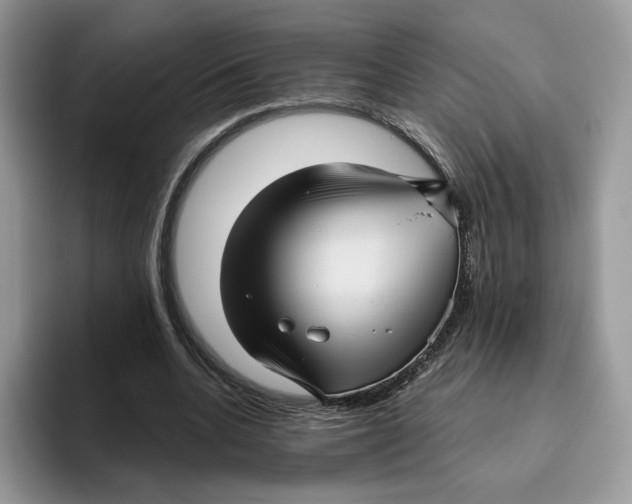 X0000095960536200802011124