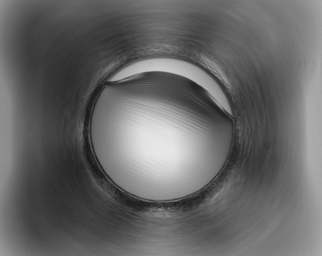 X0000095960538200802011124