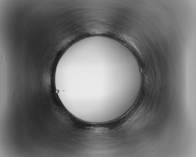 X0000095960539200802011124