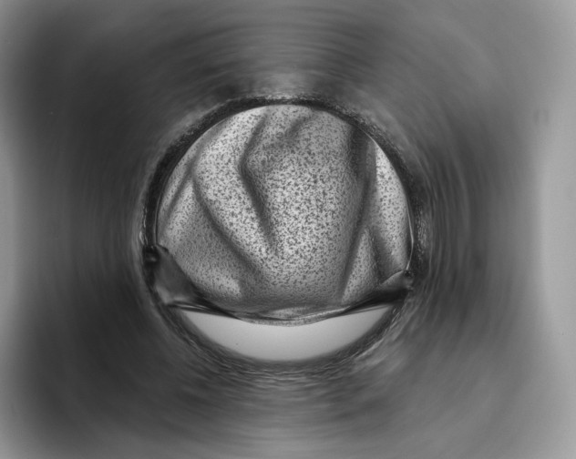 X0000095960540200802011124