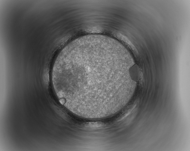 X0000095960541200802011124