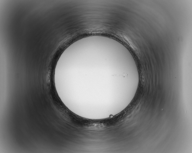 X0000095960543200802011124