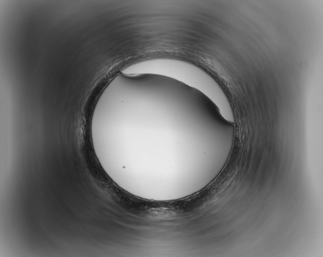 X0000095960544200802011124