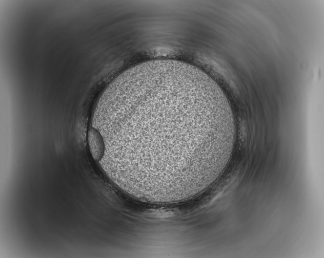 X0000095960545200802011124