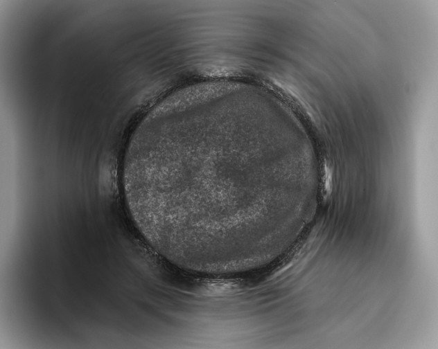 X0000095960547200802011124