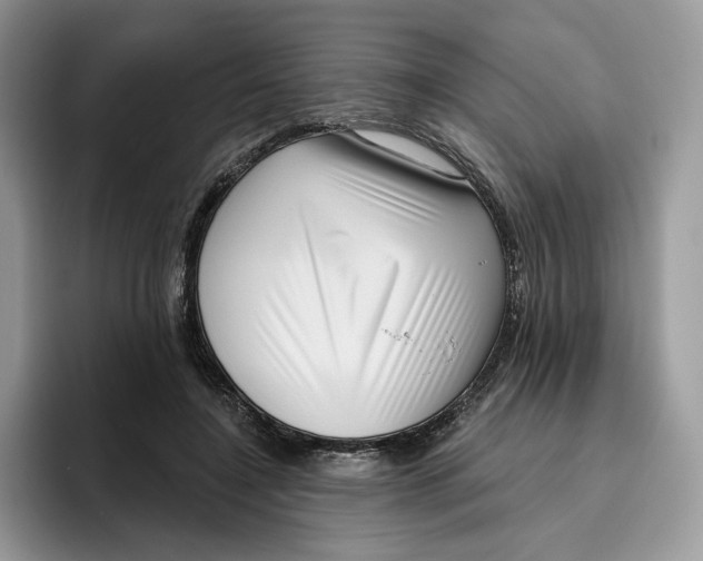 X0000095960548200802011124