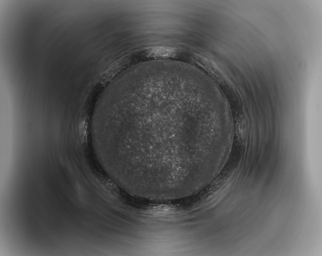 X0000095960551200802011124