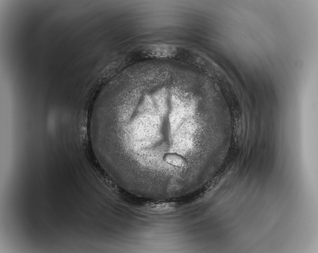 X0000095960553200802011124