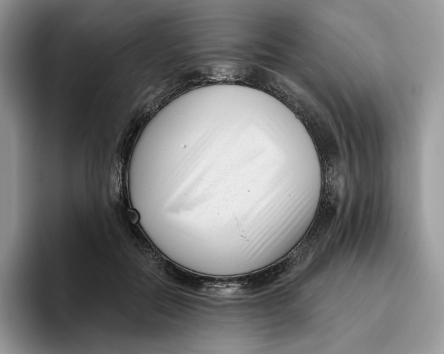 X0000095960554200802011124