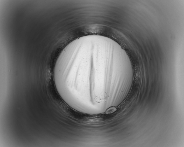 X0000095960555200802011124