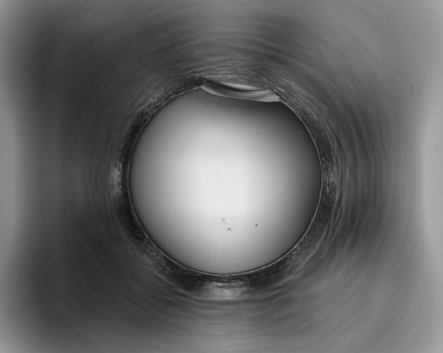 X0000095960556200802011124