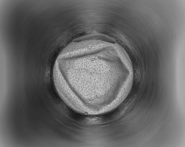 X0000095960557200802011124