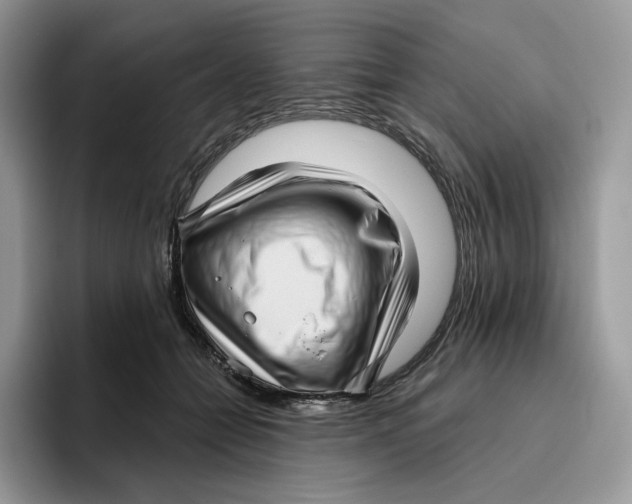 X0000095960558200802011124