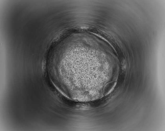 X0000095960559200802011124