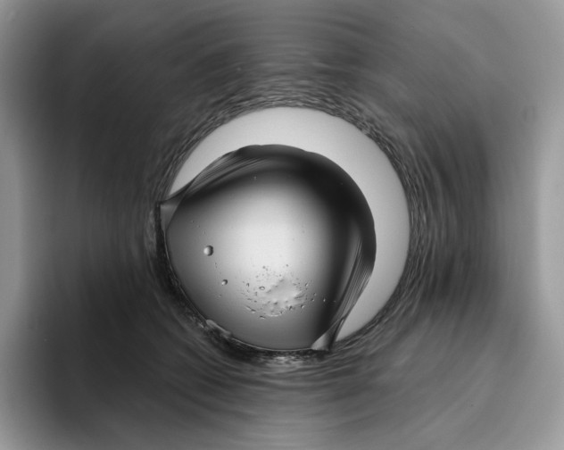 X0000095960562200802011124