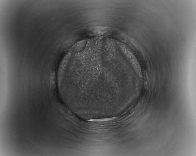 X0000095960563200802011124