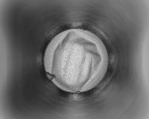 X0000095960565200802011124