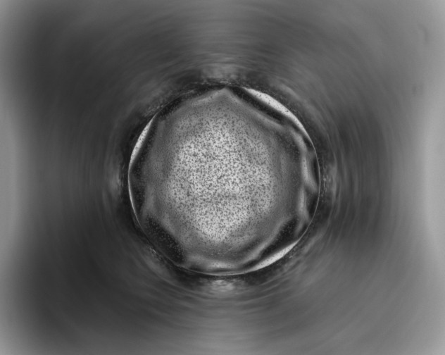 X0000095960566200802011124