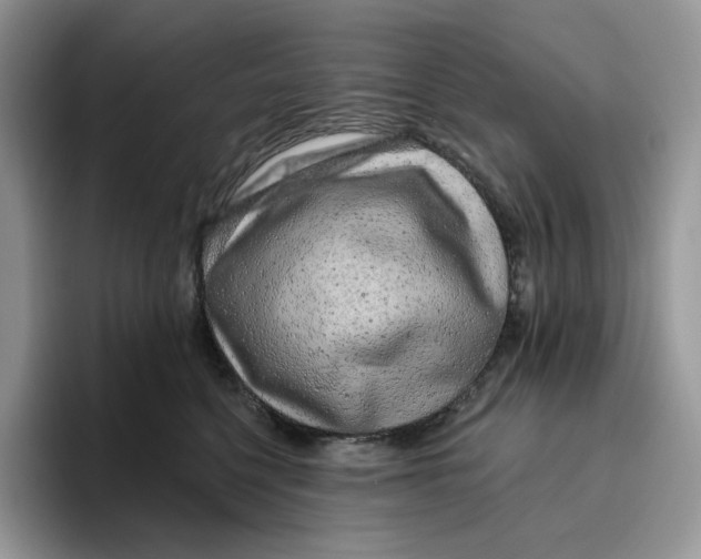 X0000095960568200802011124