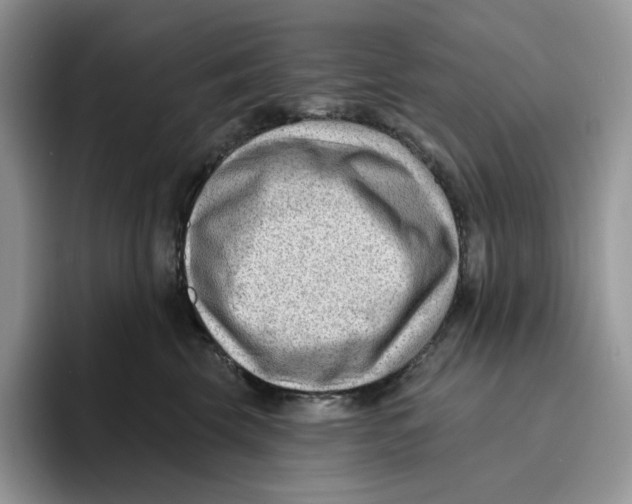 X0000095960569200802011124