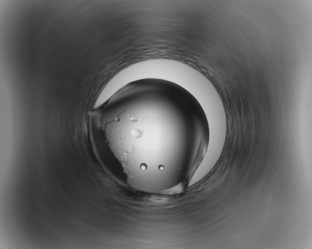 X0000095960570200802011124