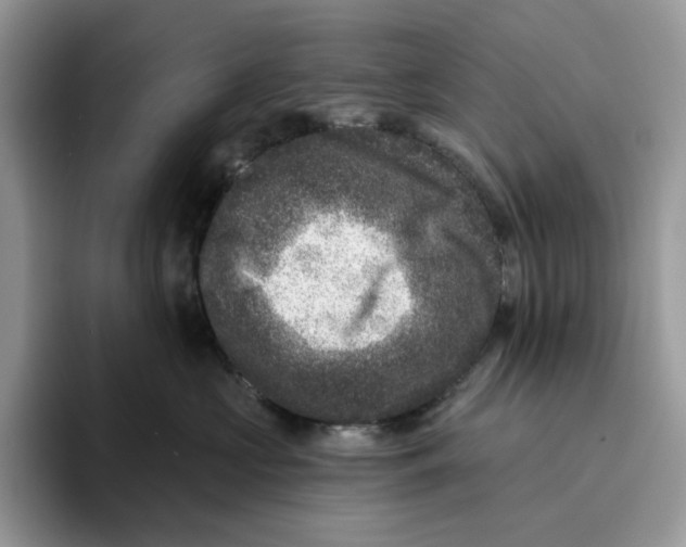 X0000095960573200802011124