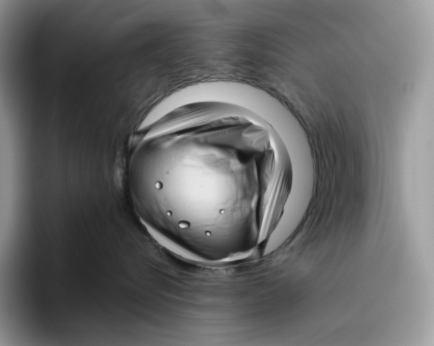 X0000095960576200802011124