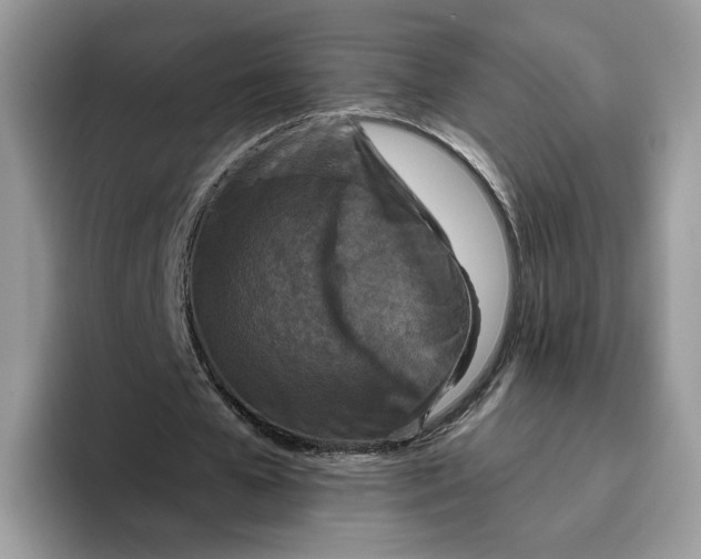 X0000095960577200802011124