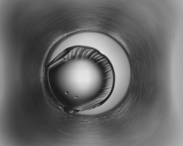 X0000095960579200802011124